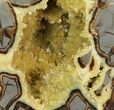 Polished, Yellow Crystal Filled Septarian Geode - Utah #112119-2